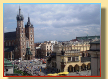 AQUARIUM Muzeum Przyrodnicze PAN Krak�w wypoczynek w Polsce