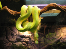 AQUARIUM Muzeum Przyrodnicze PAN Krak�w