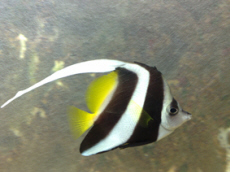 AQUARIUM Muzeum Przyrodnicze PAN Krak�w
