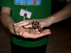 AQUARIUM Muzeum Przyrodnicze PAN Krak�w